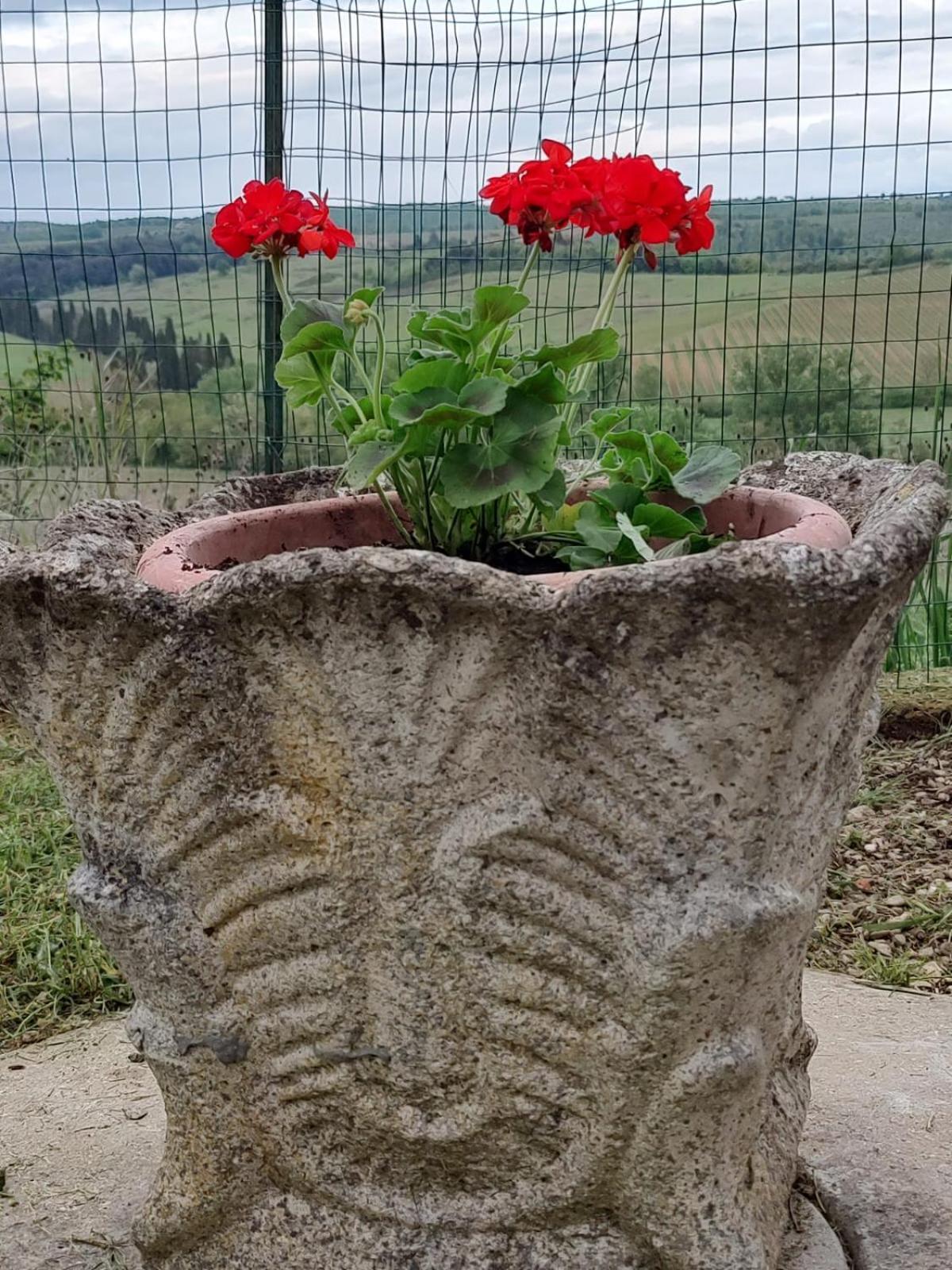 Appartement Il Giardino Del Chianti à Sienne Extérieur photo