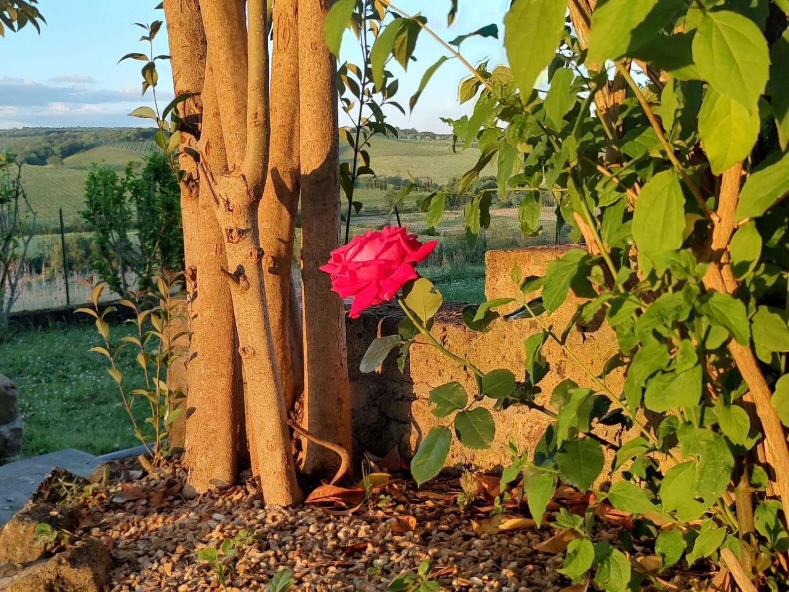 Appartement Il Giardino Del Chianti à Sienne Extérieur photo