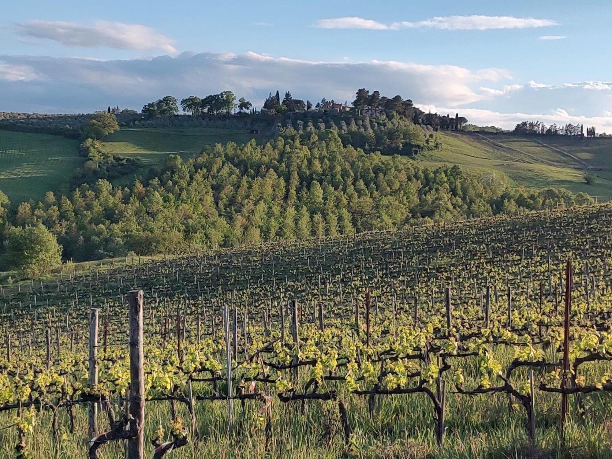 Appartement Il Giardino Del Chianti à Sienne Extérieur photo